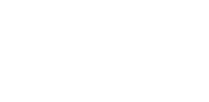 Valagron Logo